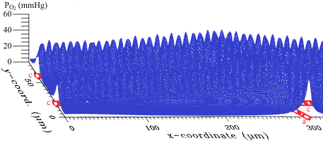 Saturation curve